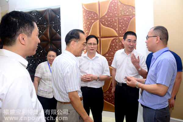 在閩全國人大代表調(diào)研組蒞臨福建寶利特