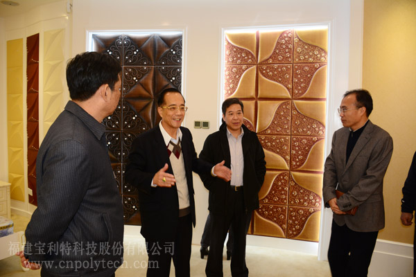 全國(guó)政協(xié)委員、福建省僑聯(lián)主席王亞君，福建省僑聯(lián)專職副主席陳式海，福建省政協(xié)常委、省政協(xié)港澳臺(tái)僑和外事委員會(huì)主任翁星一行，蒞臨福建寶利特科技股份有限公司調(diào)研考察